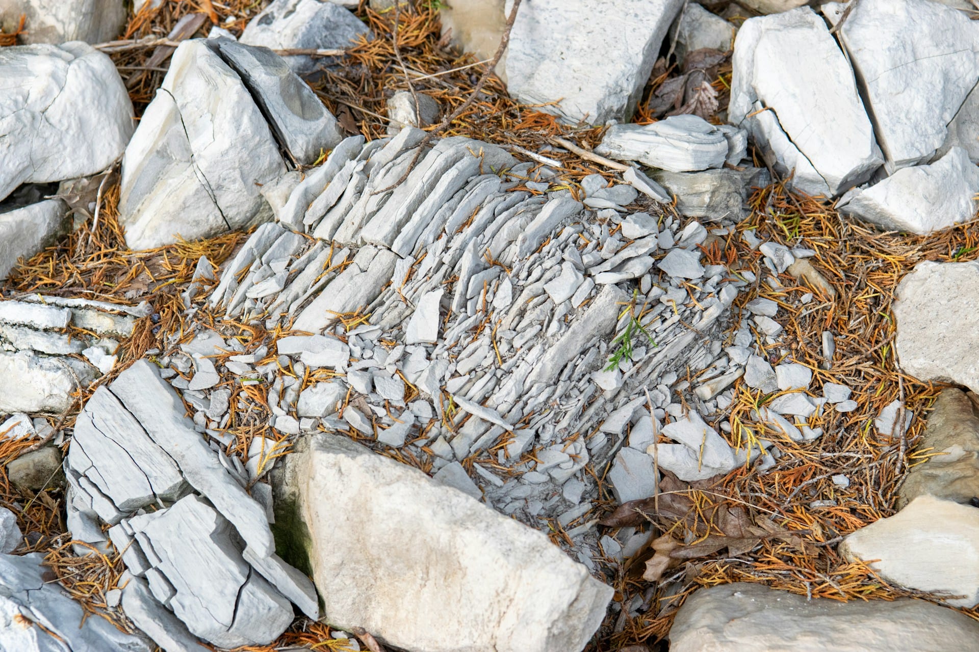 A rock lies shattered into pieces.